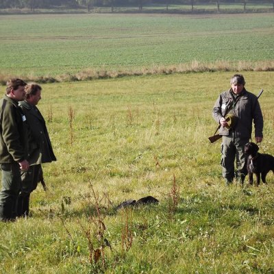 Fotografie 234 z galerie Podzimní zkoušky loveckých psů