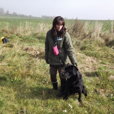 Fotografie 242 z galerie Podzimní zkoušky loveckých psů