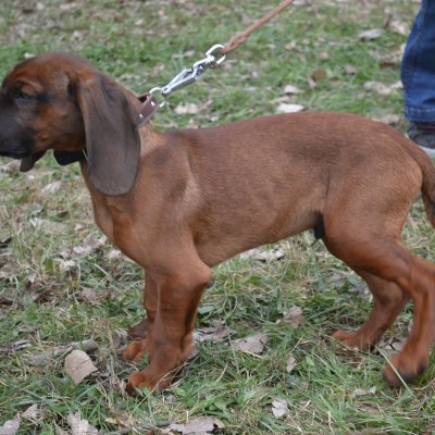 Fotografie 8 z galerie Běhochod