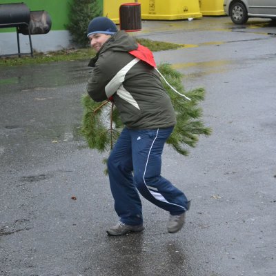 Fotografie 12 z galerie Hod vánočním stromkem
