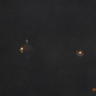 Fotografie 6 z galerie Rozloučení se starým rokem v Topělci