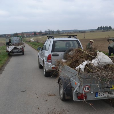 Fotografie 3 z galerie Sázení aleje na Císadlovice