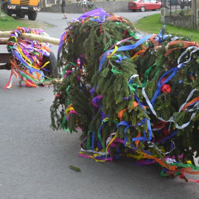 Fotografie 10 z galerie Stavění májky