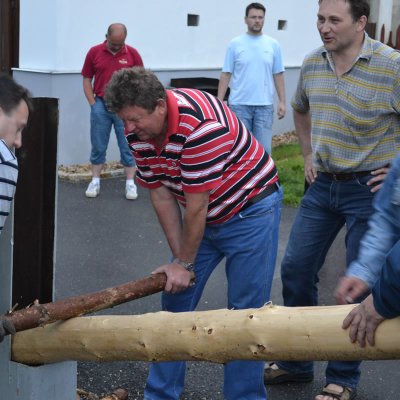 Fotografie 11 z galerie Stavění májky