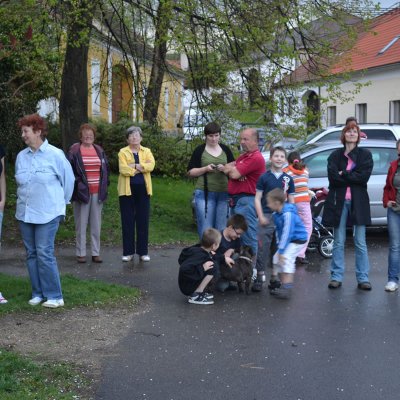 Fotografie 14 z galerie Stavění májky