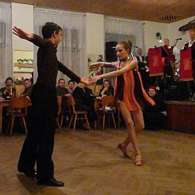 Fotografie 12 z galerie Zahrádkářský ples