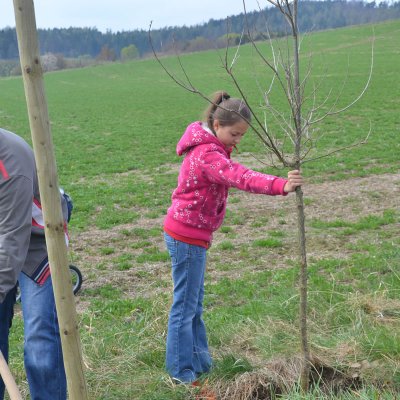 Fotografie 10 z galerie Založení Aleje otců