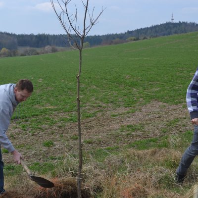 Fotografie 11 z galerie Založení Aleje otců