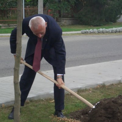 Fotografie 3 z galerie Sázení svatováclavské lípy