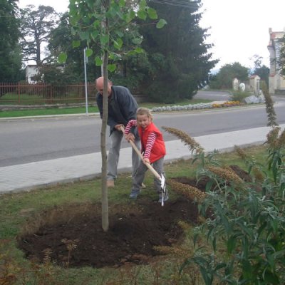 Fotografie 5 z galerie Sázení svatováclavské lípy
