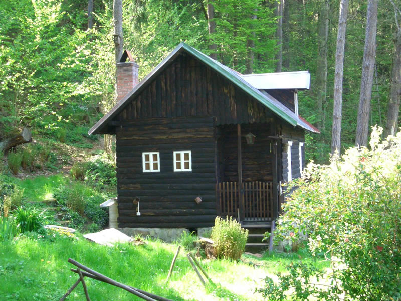 Borečnice – foto 13