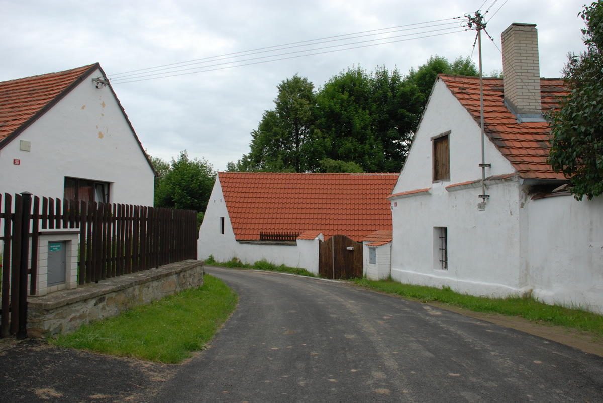 Bošovice – foto 7