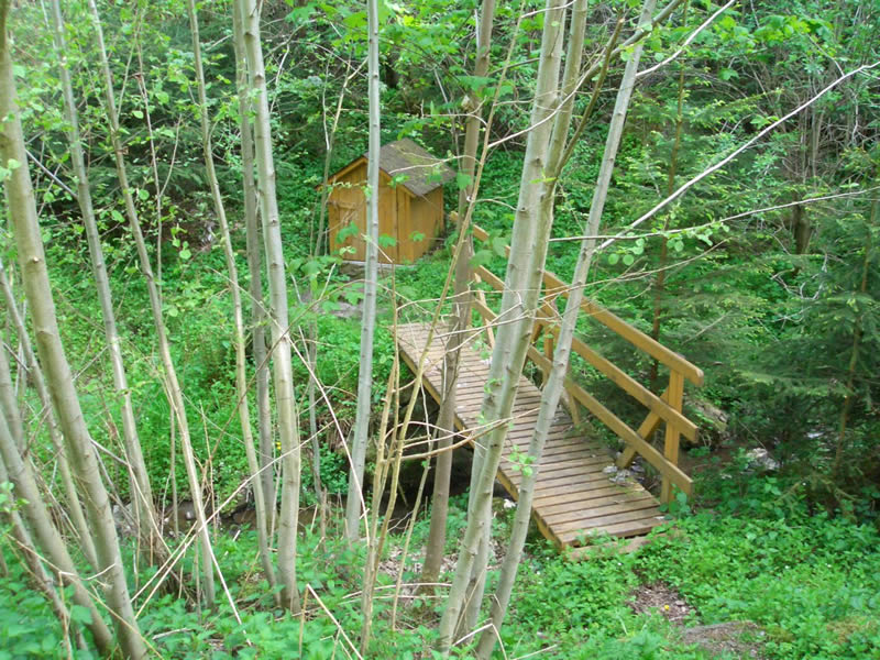 Topělec – foto 10