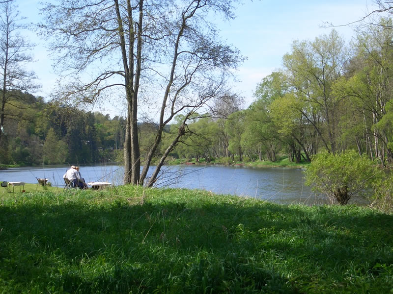 Topělec – foto 13